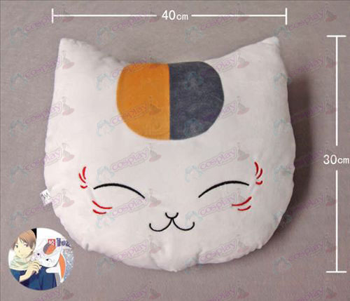 Cat Lehrer Pillow
