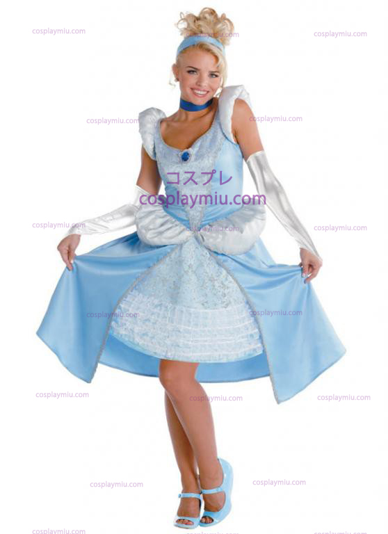 Adult Cinderella Kostüme