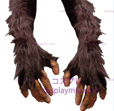 Chimp Hände