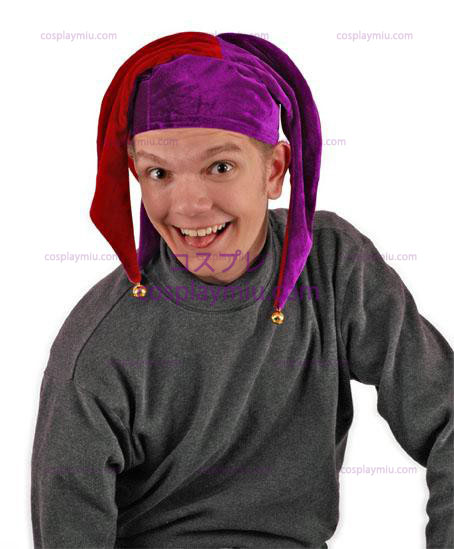 Floppy Jester Red und Purple Adult Hut